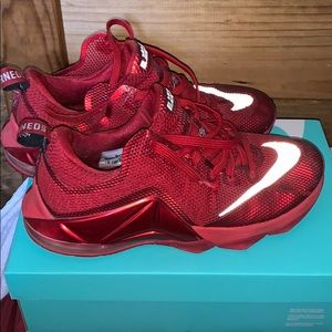 Lebron 12 Low Top